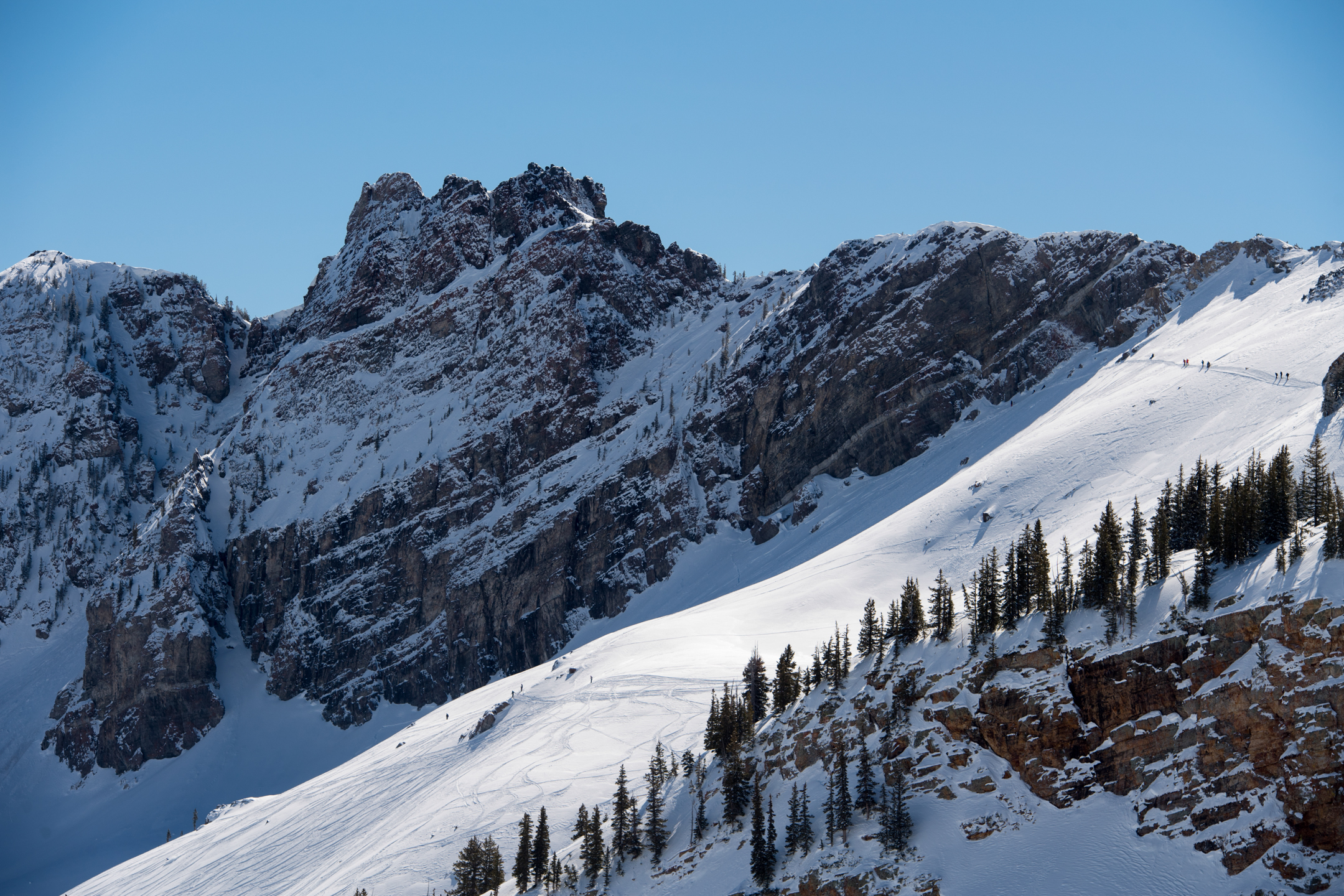 Alta snowbird deals